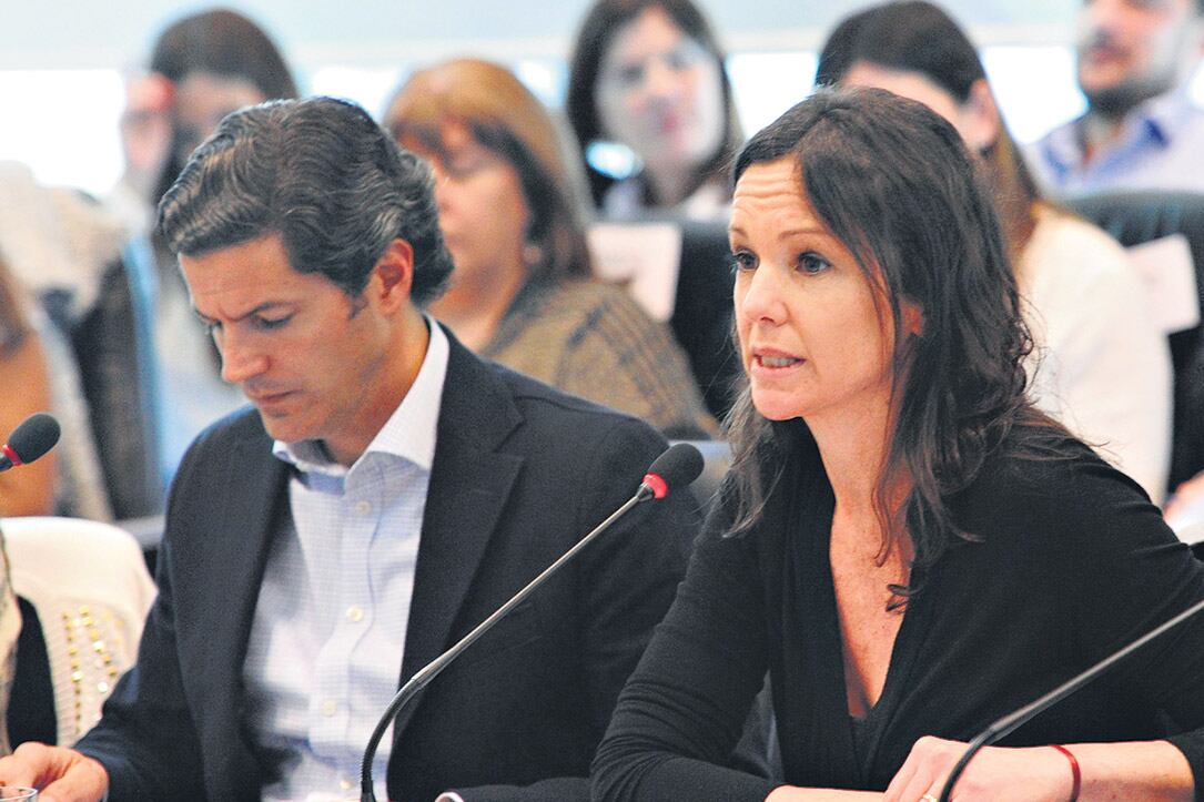 La ministra Carolina Stanley sigue el libreto que le dieron.