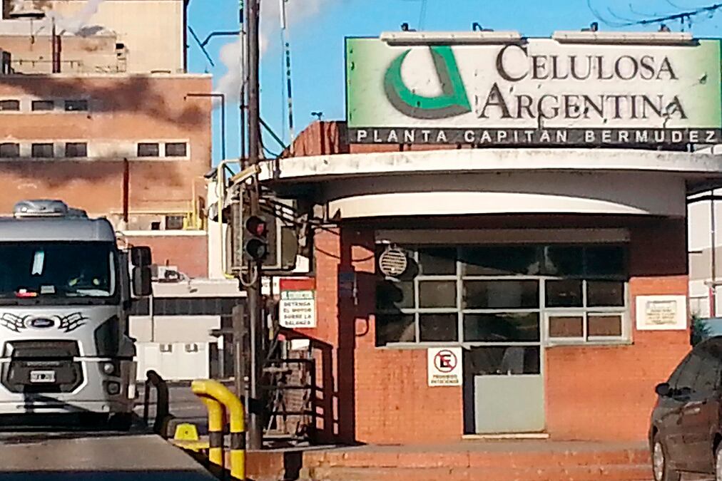 Celulosa abastece a la industria y al consumo final. 