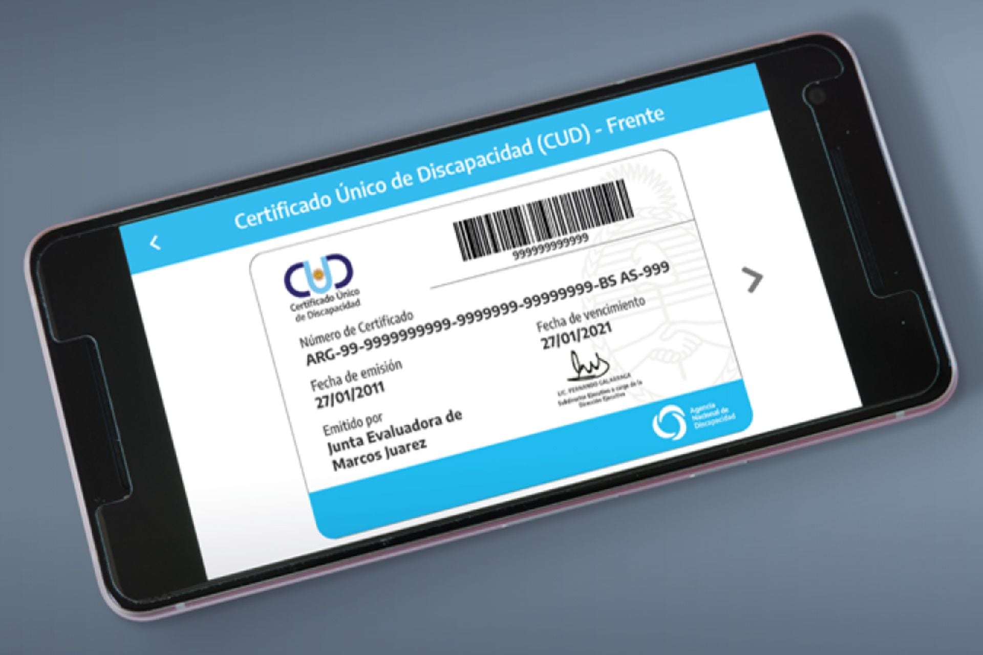 Certificado Único de Discapacidad 