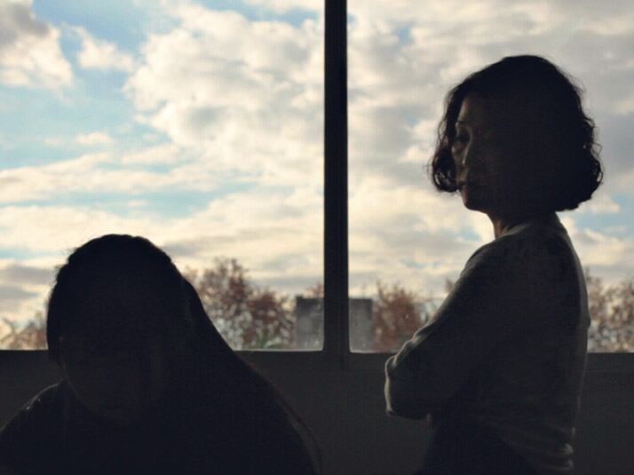 Mi último fracaso, un registro íntimo, que formalmente responde a un orden circular. 