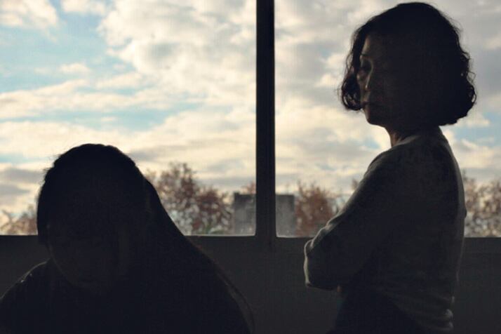 Mi último fracaso, un registro íntimo, que formalmente responde a un orden circular.