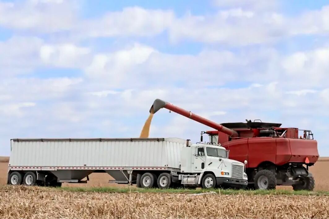 El aporte llegó a los 19.145 millones en el semestre.