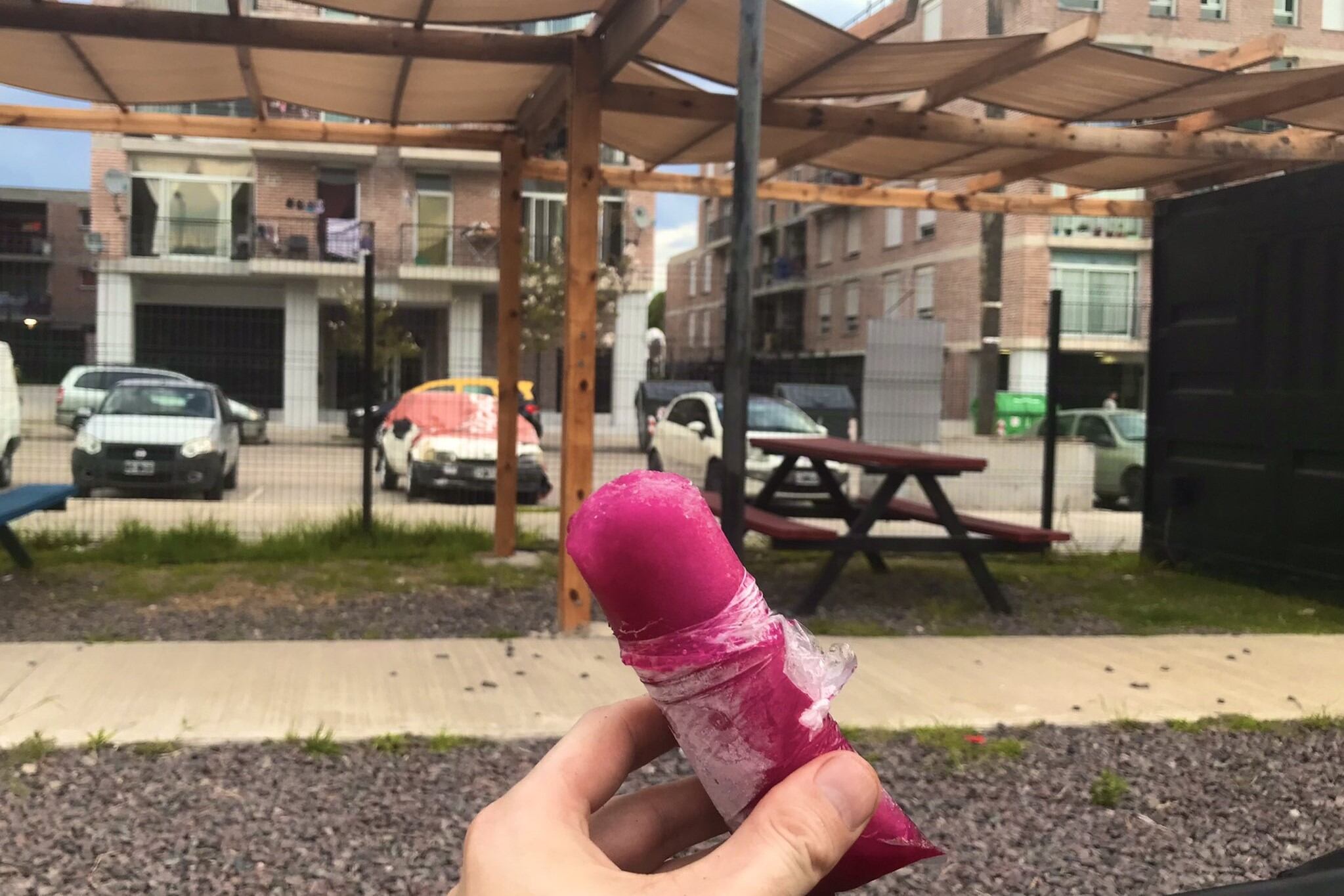 De la tradición incaica a los barrios porteños, el chupete helado de frutas se posicionó y le compite a cualquier golosina fresca