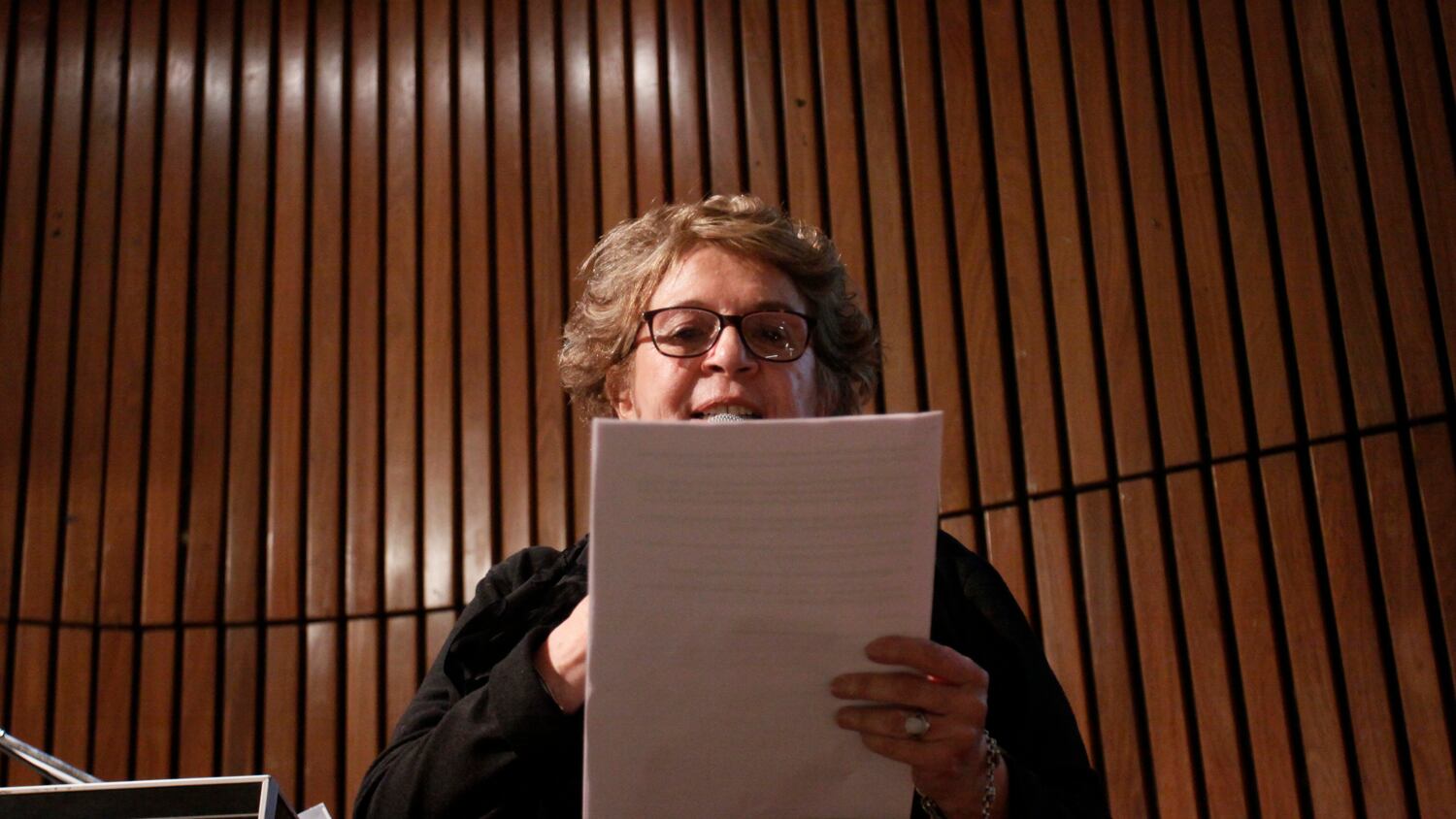 Carbano dijo que la programación hará hincapié en la temática feminista, el cómic  y la divulgación científica. 