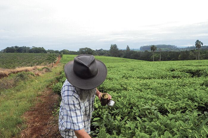 El panorama "no es muy alentador" porque "lamentablemente el precio se hundió, hay un achatamiento muy grande de precios".