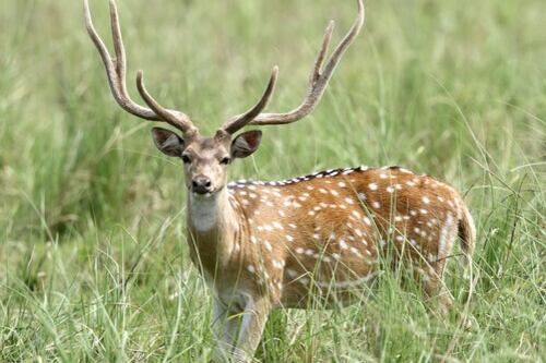 El hecho ocurrió el 24 de diciembre, pero el hombre falleció el pasado lunes.