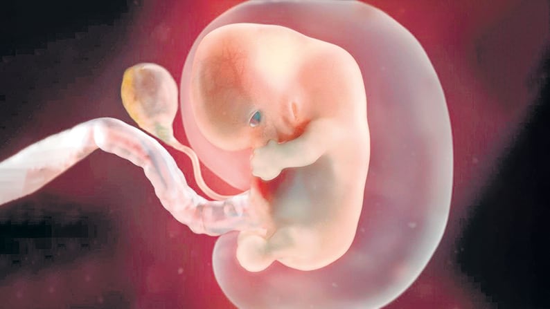 Los proyectos plantean la “adoptabilidad de la persona por nacer”.