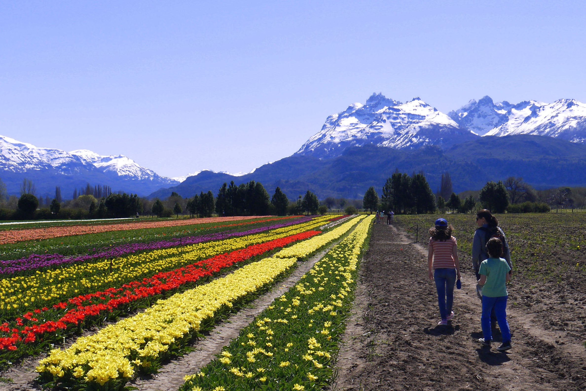 Trevelin, el destino argentino elegiod entre los 52 mejores pueblos turísticos para visitar