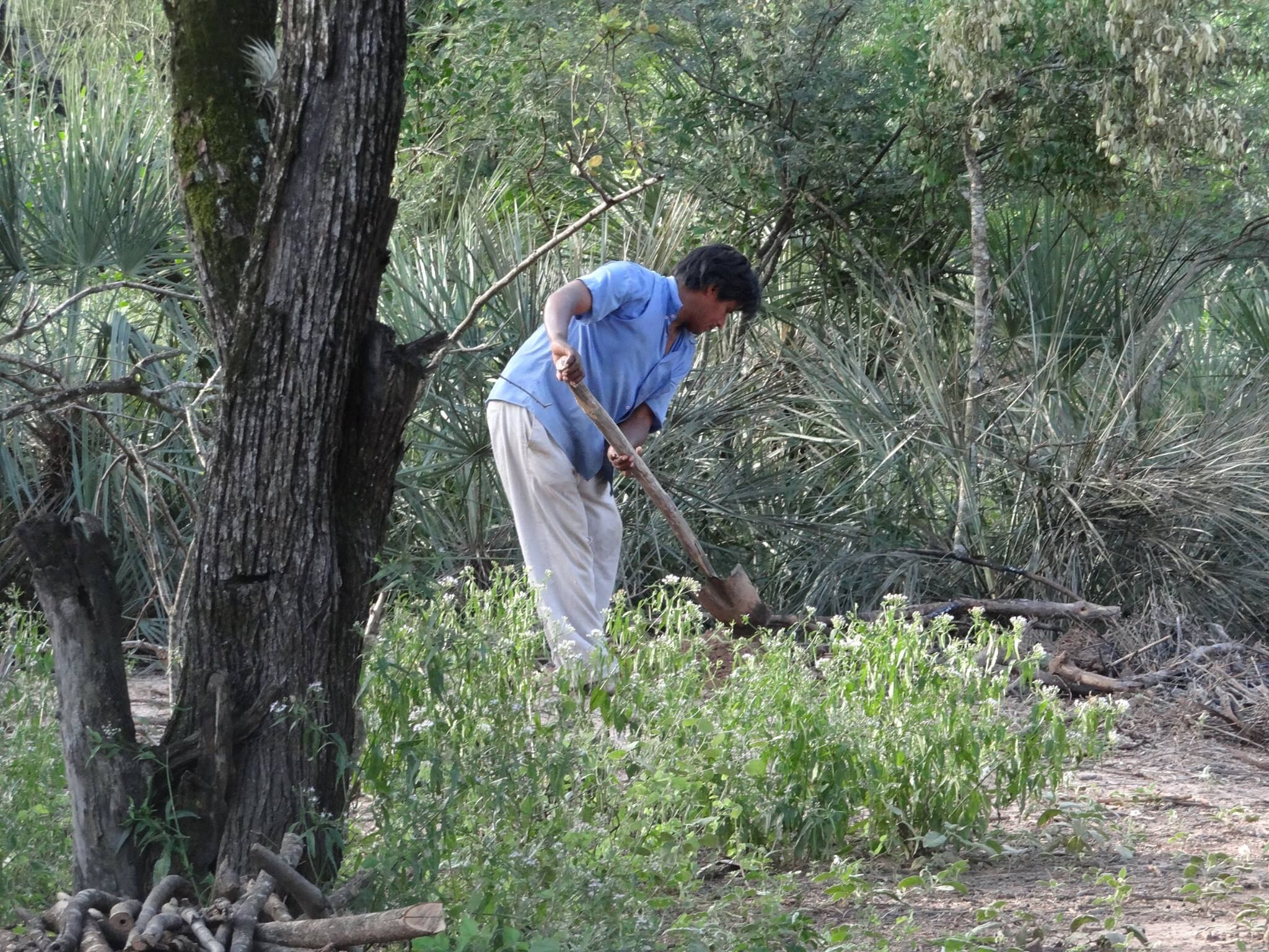 En el Chaco argentino