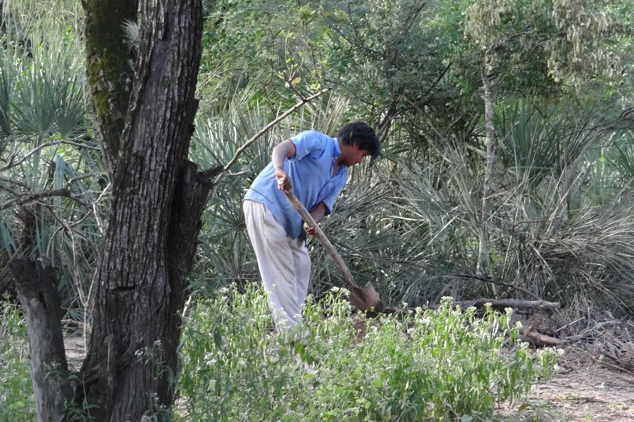 En el Chaco argentino