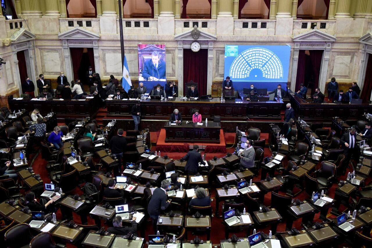 La ampliación de los procesos de concursos preventivos y quiebras recibió 250 votos a favor y dos abstenciones. 