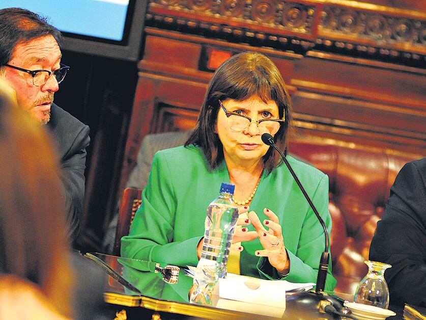 Patricia Bullrich, ministra de Seguridad, abrió la lista de oradores en la reunión.