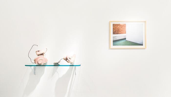 Territorio vulnerable. Marcela Astorga. Hasta el 16 de agosto en la galería Henrique Faria (Libertad 1628, CABA).