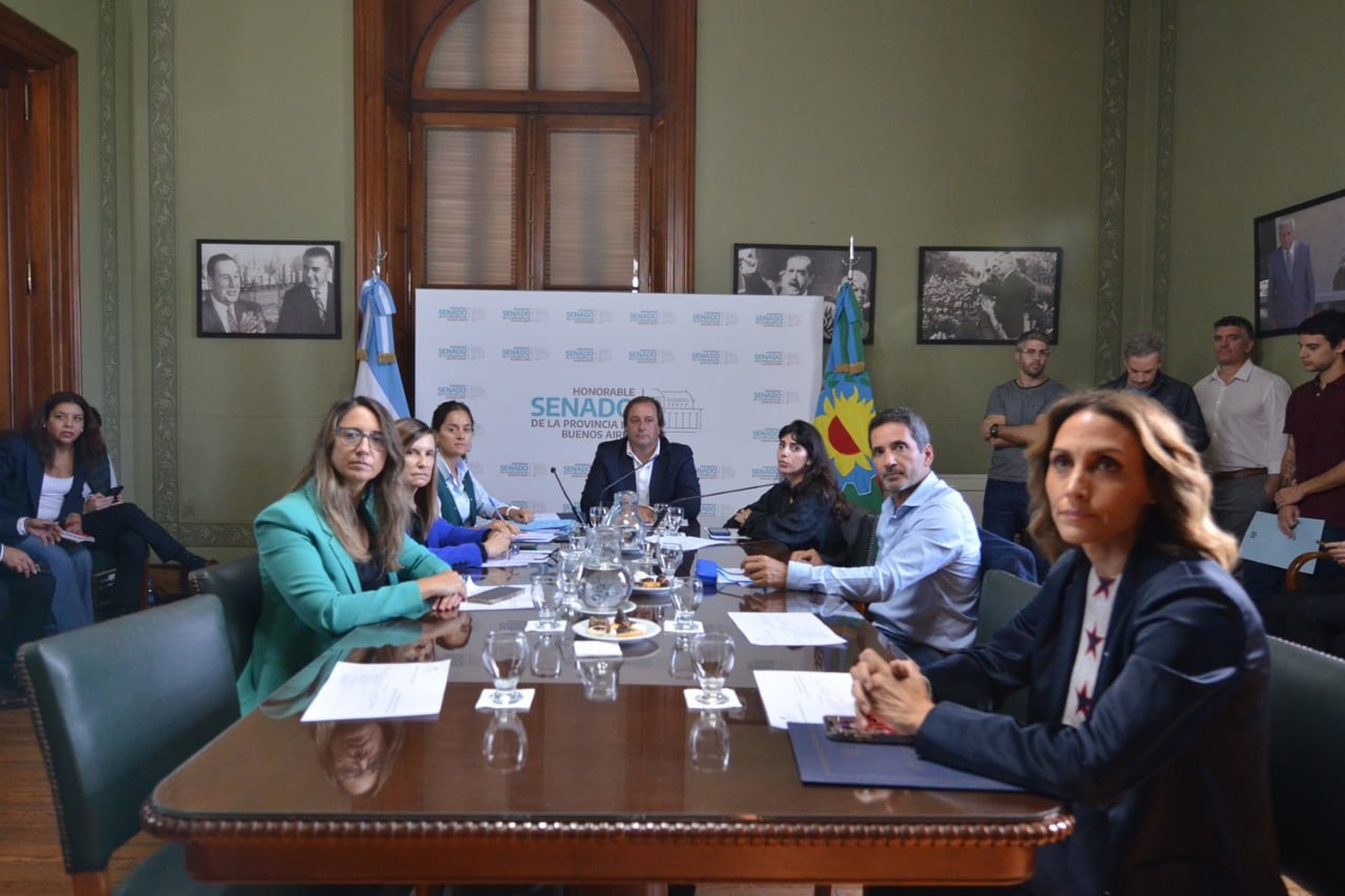 La Comisión de Legislación General se reunió en el Senado. 