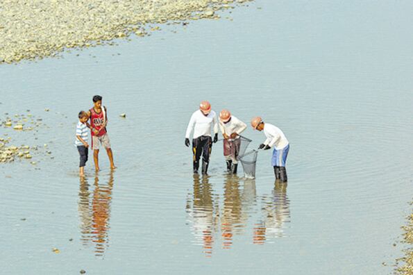 Tres personas intentan rescatar peces en el río Cauca.