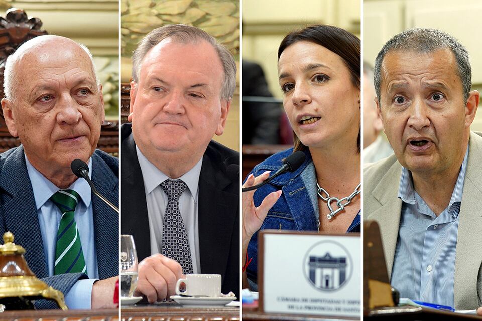 Bonfatti, Michlig, De Ponti y Del Frade opinaron sobre la marcha del gobierno.