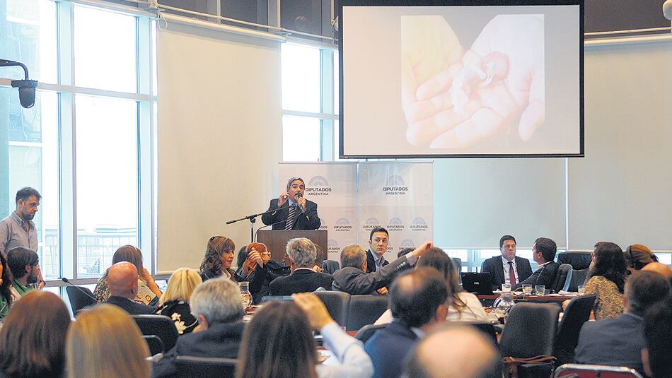 Los expositores en contra del aborto coincidieron en que la mujer no tiene ese derecho.