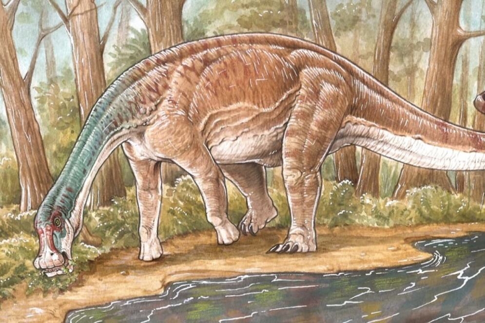 Una recreación de cómo podría haber sido el Inawentu oslatus