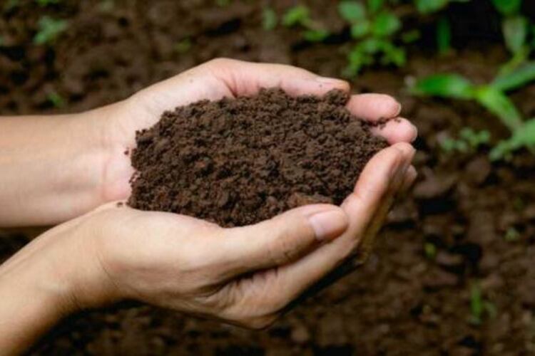 El compost humano ha sumado adeptos en los últimos años.