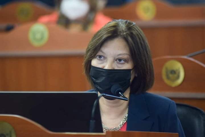 Diputada Adriana Díaz, autora del proyecto.