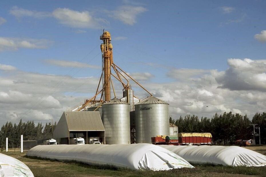 El titular de Cámara de la Industria Aceitera, Gustavo Idígoras, estimó que si el Gobierno baja las retenciones de 33 a 25% sería posible liquidar 5000 millones de dólares en los próximos seis meses.