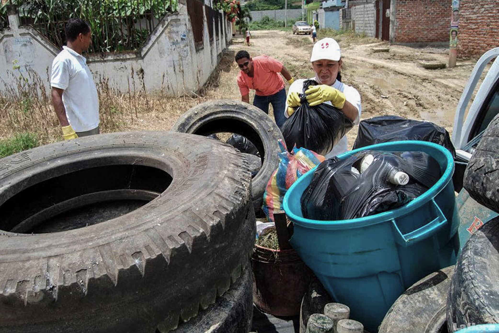 La provincia intensifica los trabajos para prevenir la propagación del dengue. 