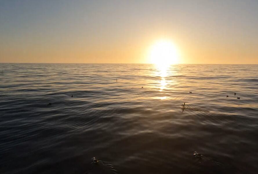 Cuál es la temperatura del mar argentino que fue récord en enero 2024. Foto: Argentina.gob