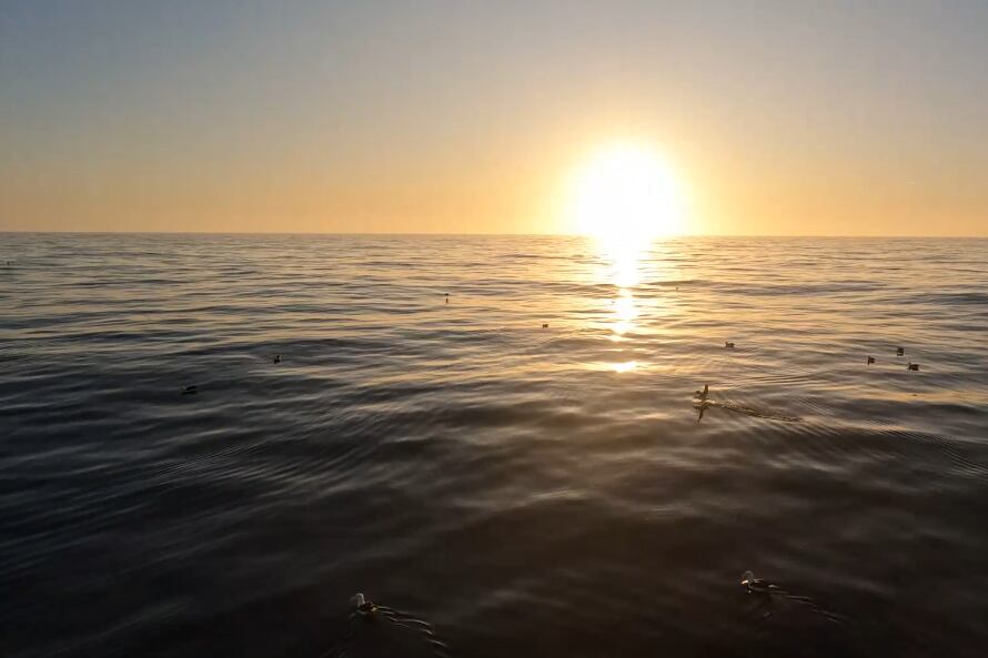 Cuál es la temperatura del mar argentino que fue récord en enero 2024. Foto: Argentina.gob