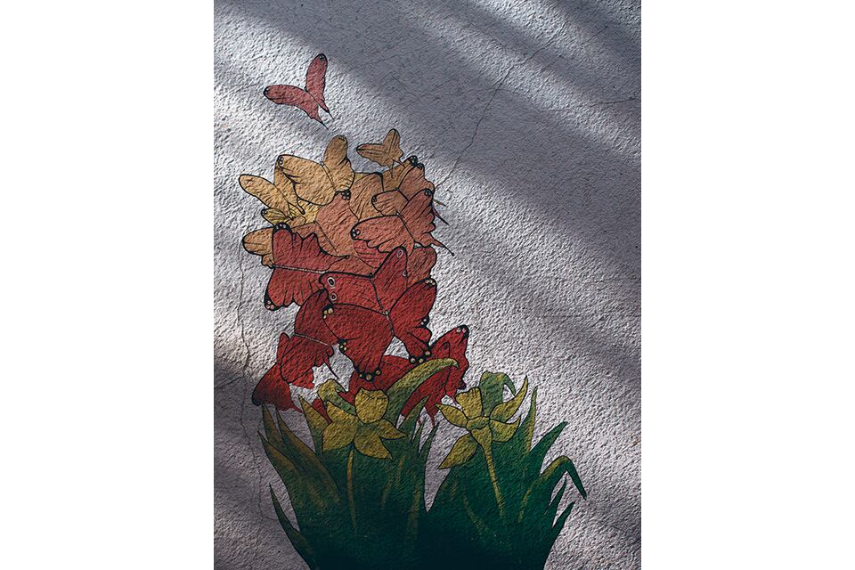 En la publicación se relatan y exponen casos.