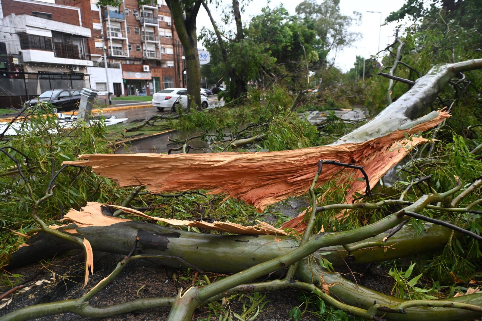 En la madrugada de este domingo se registró un fuerte temporal de lluvia y vientos de hasta 100 km/h