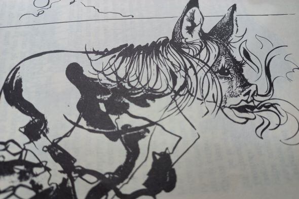 La Mulámina, ilustración de Ricardo Deambrossi.