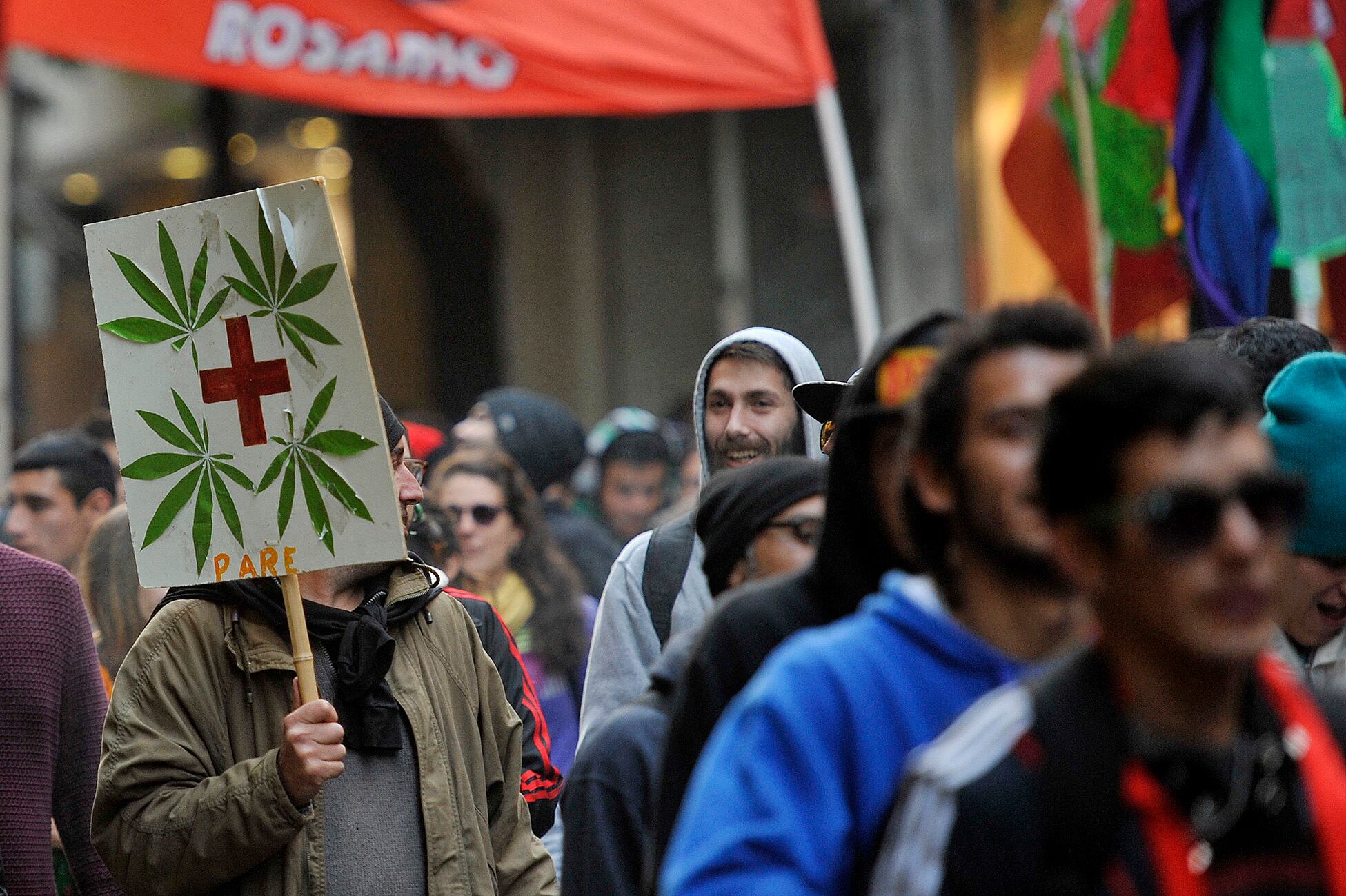 Se pide el cese de la criminalización a quienes cultivan cannabis en cualquiera de sus formas.