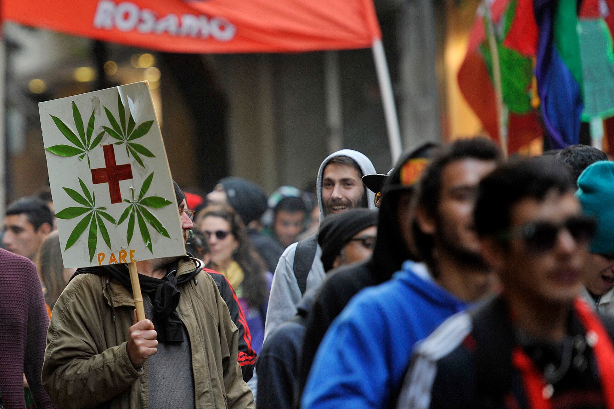 Se pide el cese de la criminalización a quienes cultivan cannabis en cualquiera de sus formas.