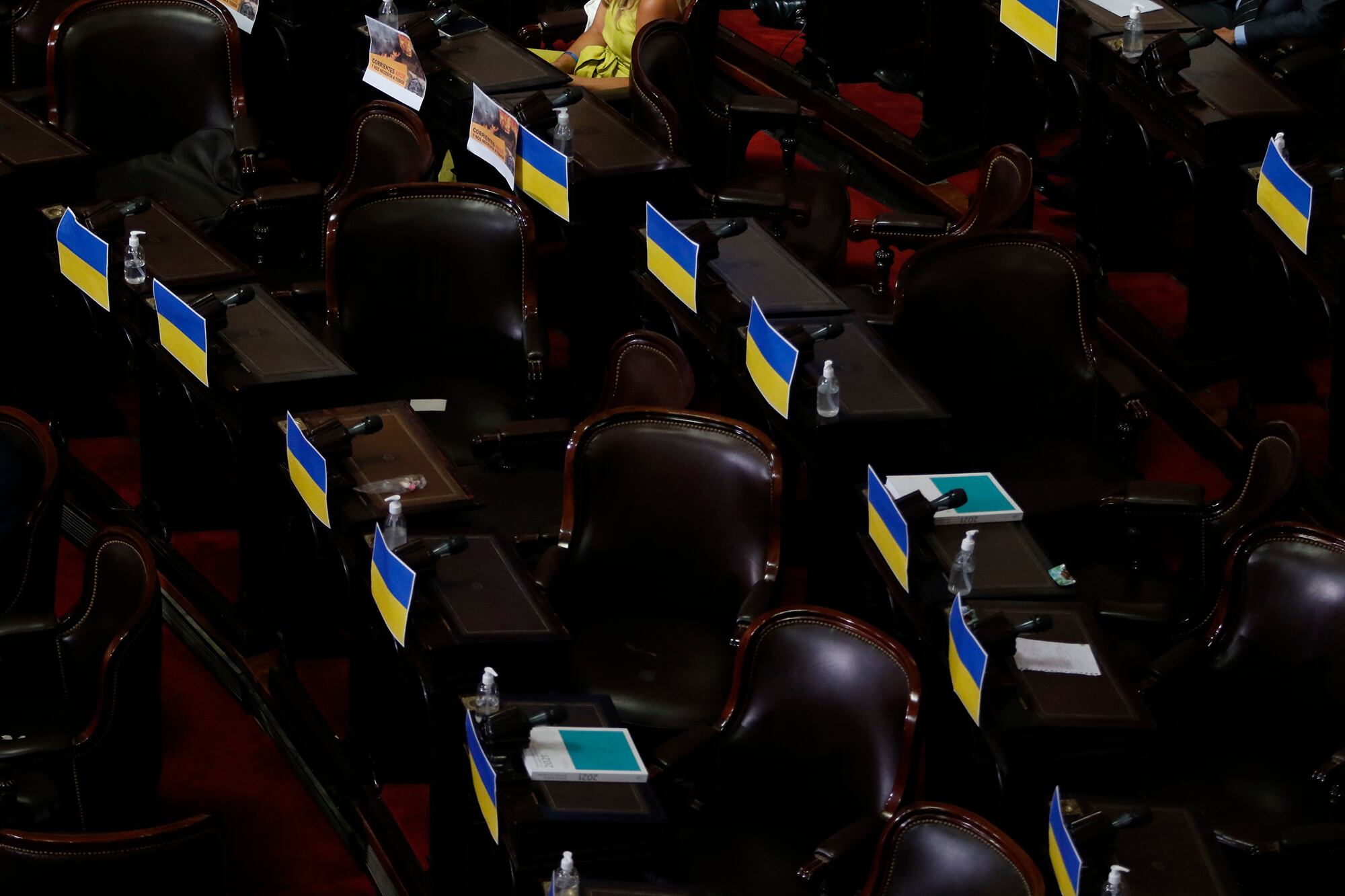 Los opositores recibieron a Alberto Fernández en el Congreso con banderas de Ucrania.