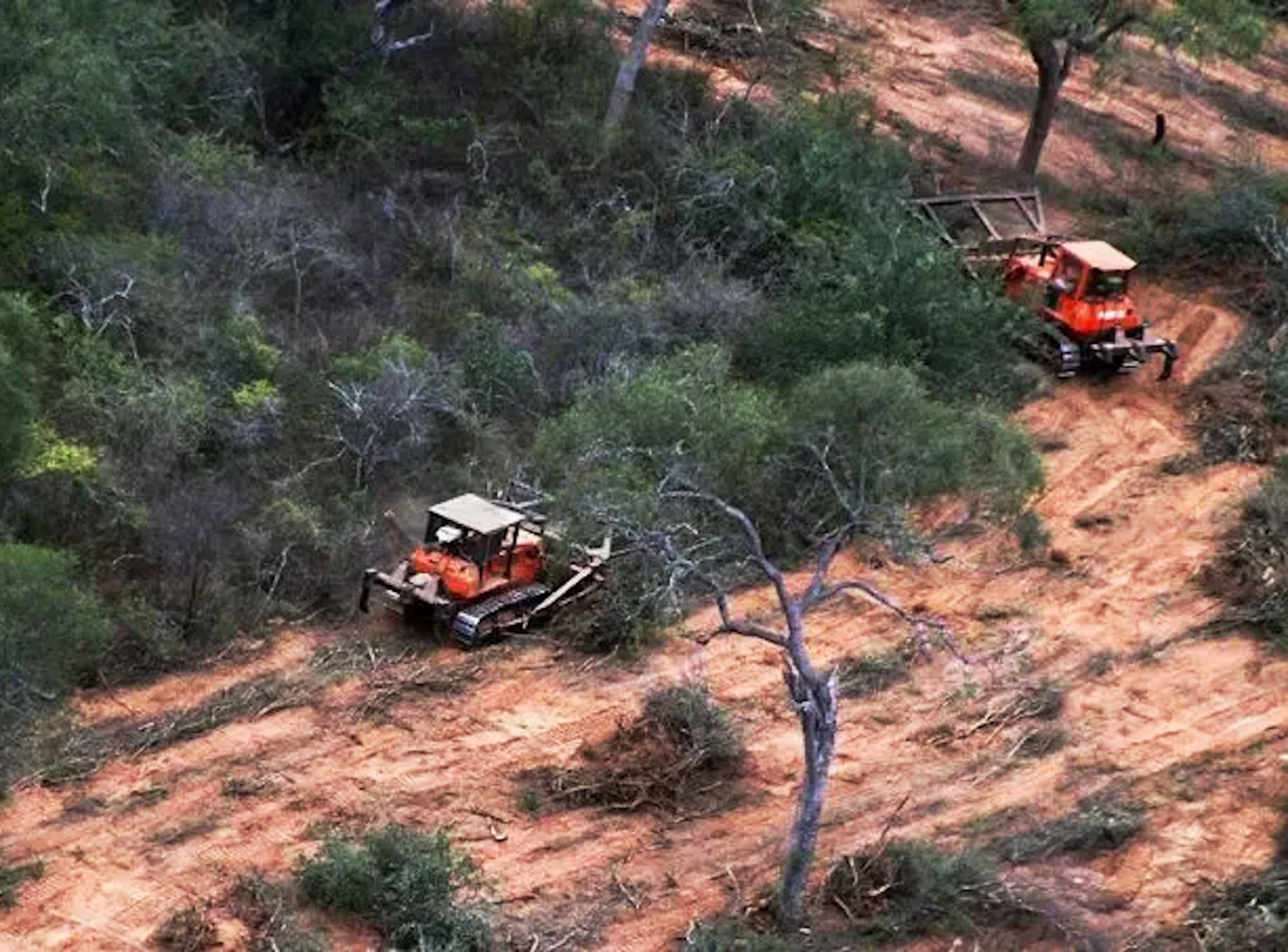 Imagen ilustrativa de un desmonte en Orán del año 2020