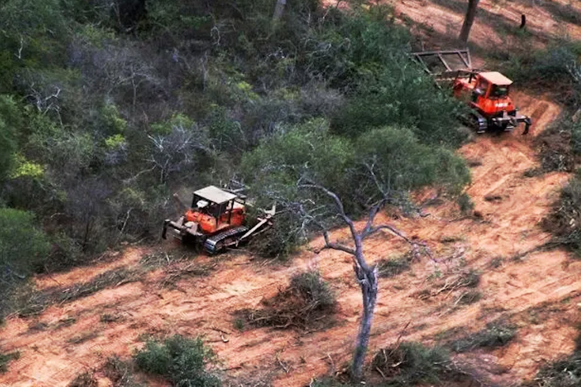 Imagen ilustrativa de un desmonte en Orán del año 2020
