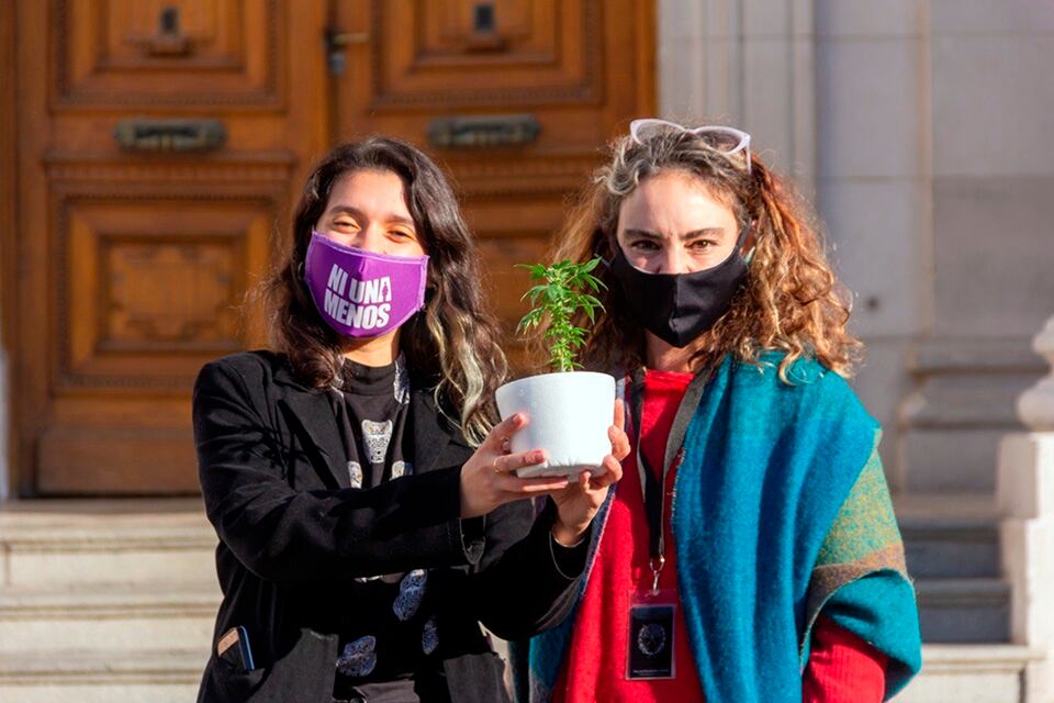 Las diputadas Donnet y Peralta impulsaron el proyecto.