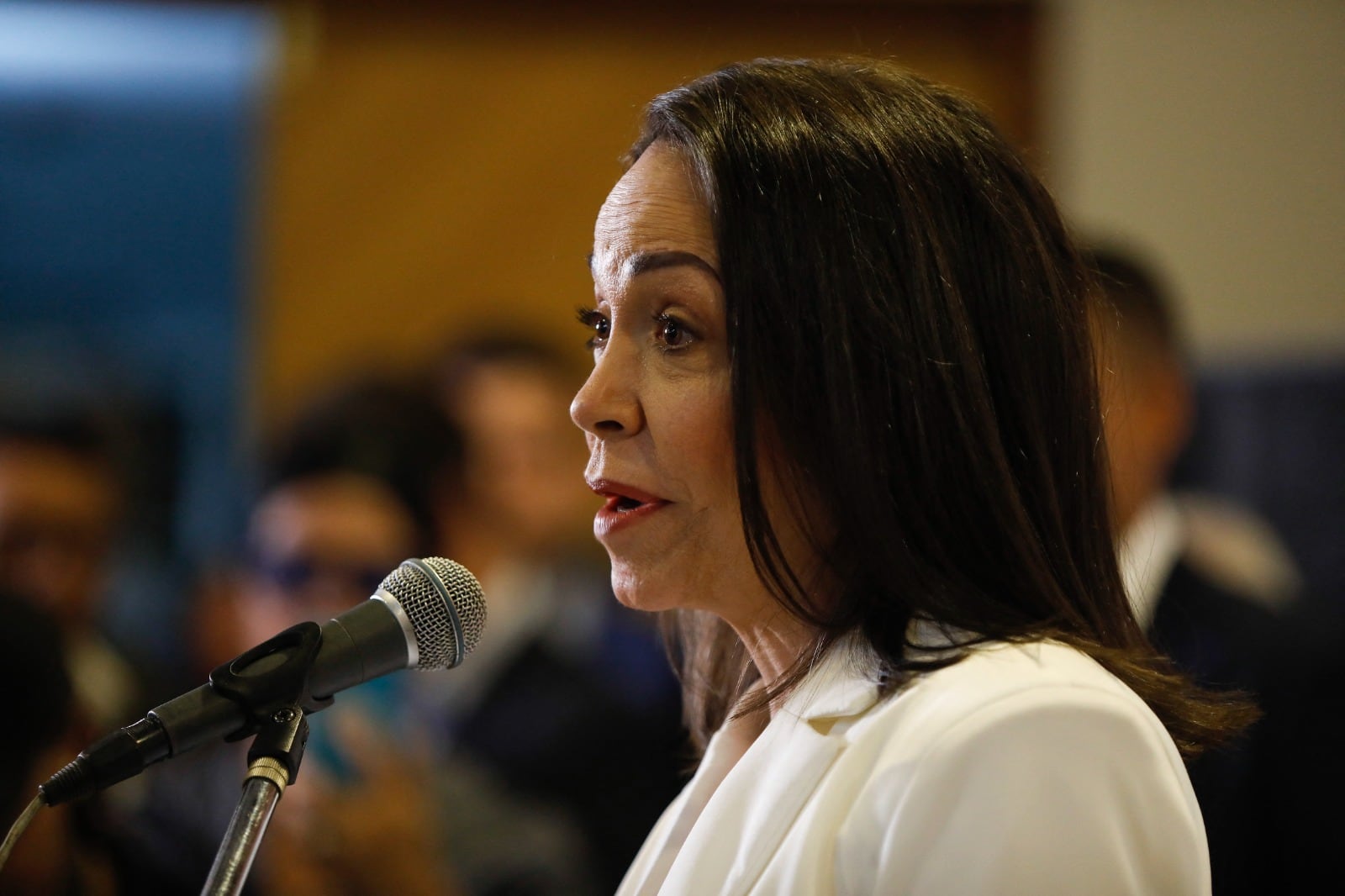 María Corina Machado logró imponerse como líder de la oposición.