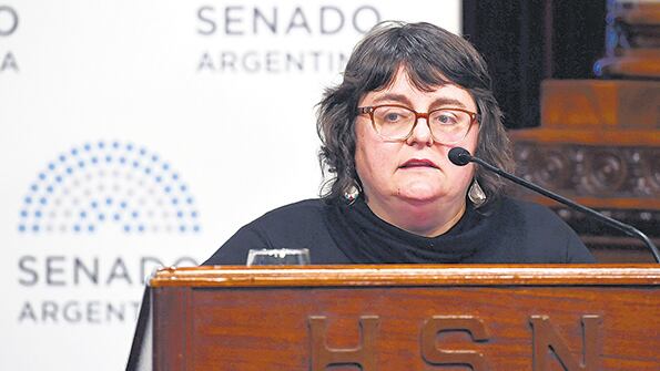 Verón expuso ante el plenario de Senado.