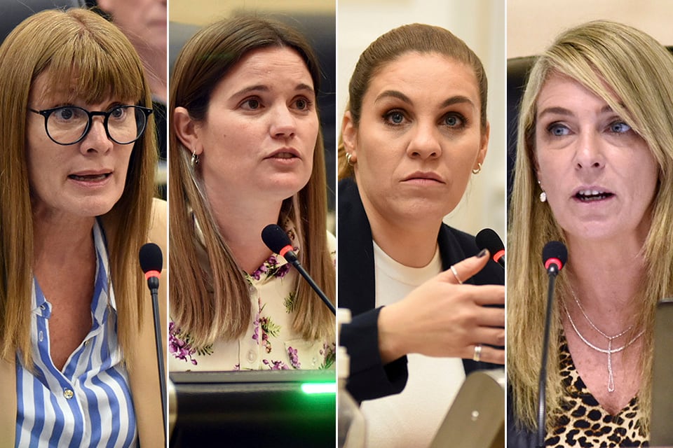 Susana Rueda, Caren Tepp, Fernanda Gigliani y María Eugenia Schmuck.
