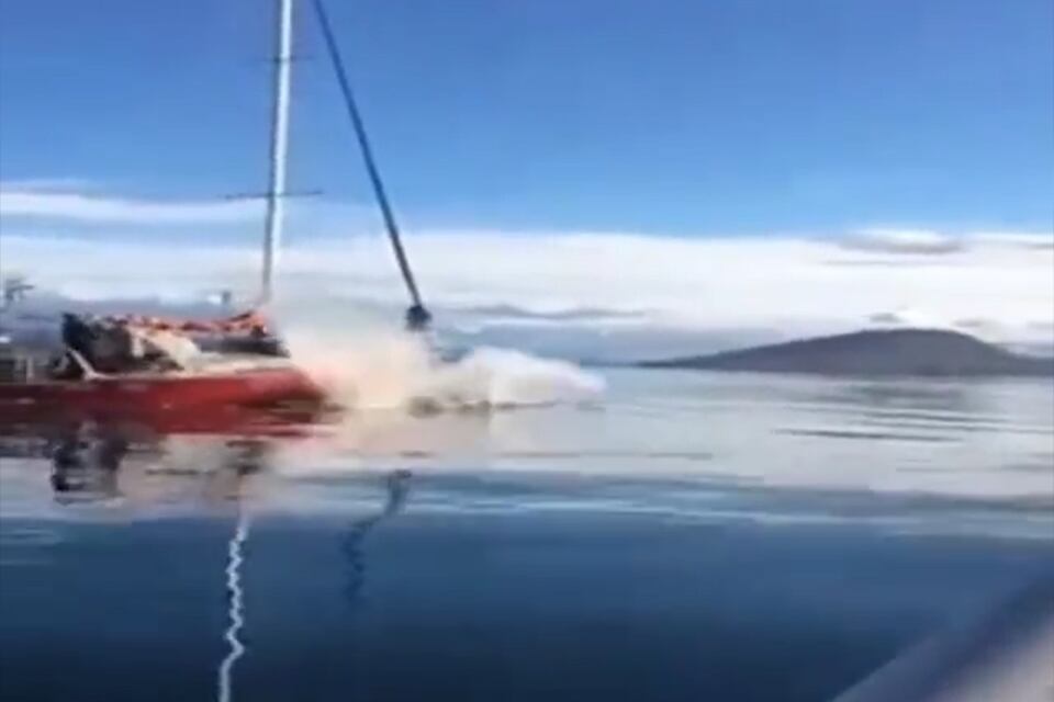 Denuncian a los navegantes de un velero que embistió a una ballena en el Canal de Beagle. Foto: captura de video
