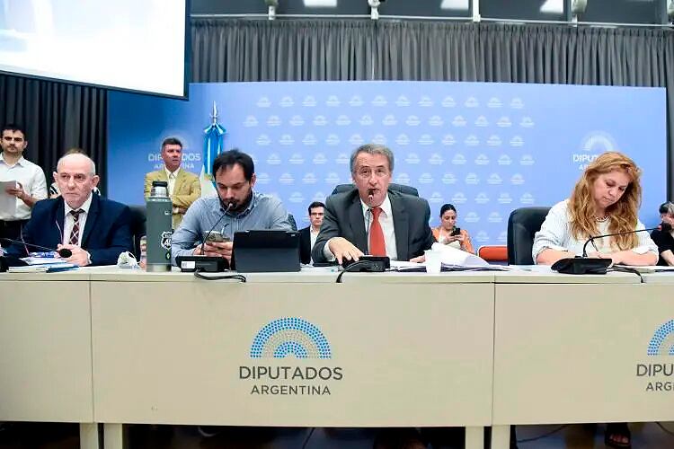 El plenario de comisiones en el que se logró el dictamen.