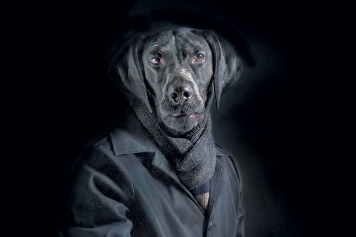 Miguel Vallinas Prieto