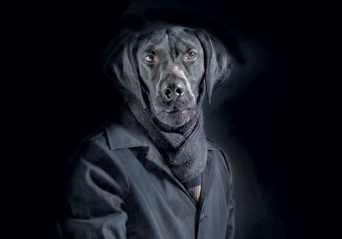 Miguel Vallinas Prieto