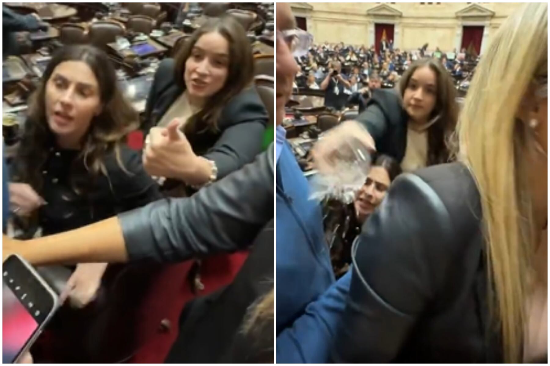 Bonacci, del mismo espacio de Javier Milei, terminó arrojándole agua a Lemoine