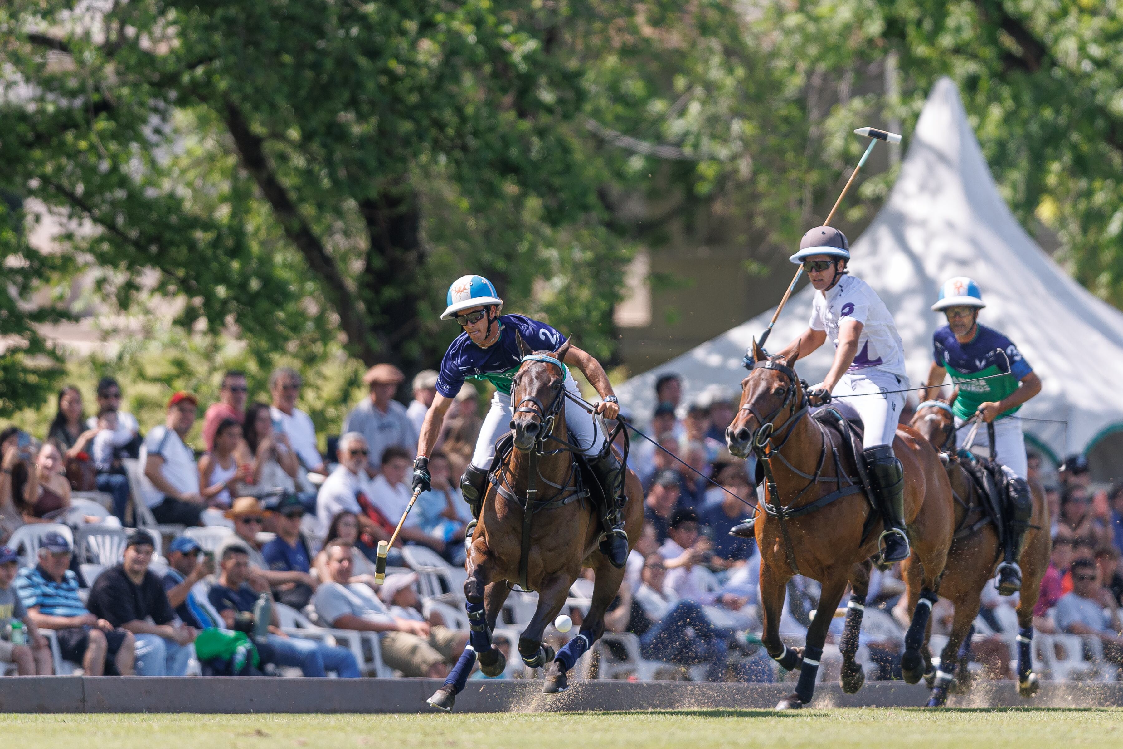 La Natividad La Dolfina es uno de los finalistas