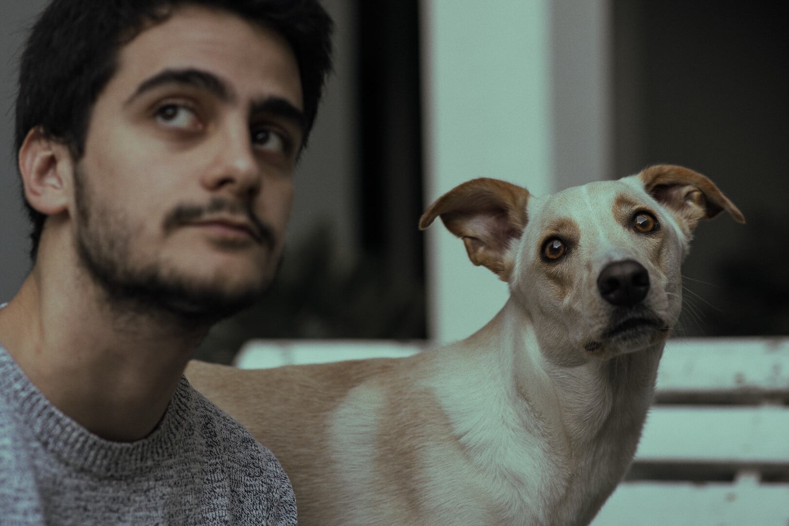 Antes de la cuarentena, Damián Kuc tenía unos 100 mil suscriptores. Hace unos días pasó los 500 mil. Hoy ya orilla los 600 mil.