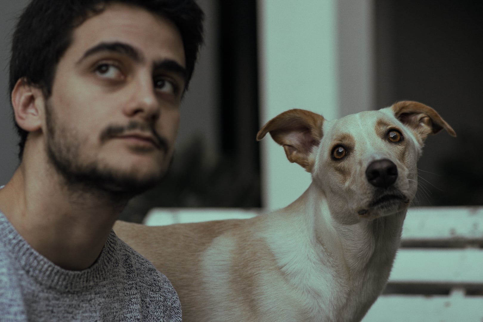 Antes de la cuarentena, Damián Kuc tenía unos 100 mil suscriptores. Hace unos días pasó los 500 mil. Hoy ya orilla los 600 mil.