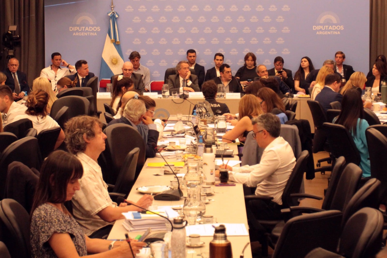 La abogada Valeria Carreras presentó una denuncia judicial por la firma del dictamen de la Ley Ómnibus.