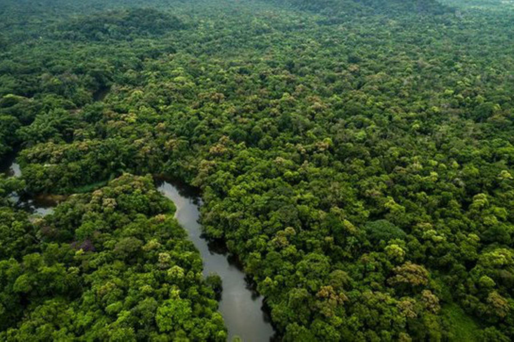 "Pocos países tienen una huella ecológica positiva como Argentina", indica Oscar Soria.